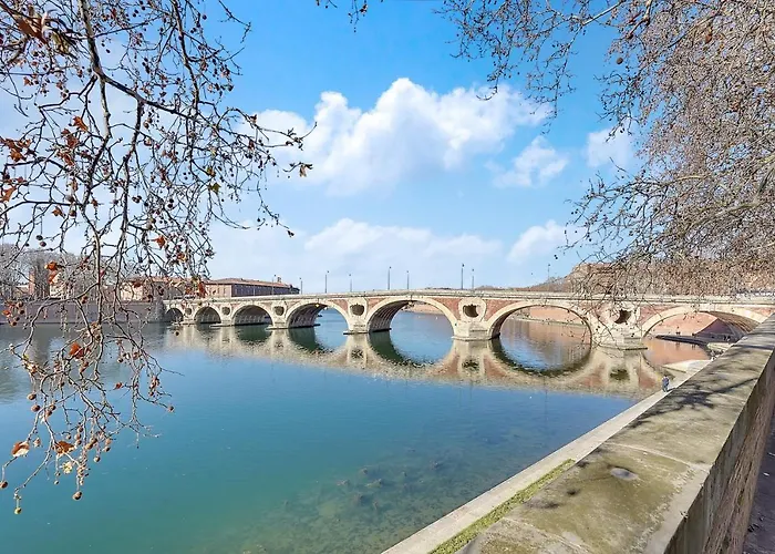 L'ile Aux Tounis - T3 Moderne Centre De *